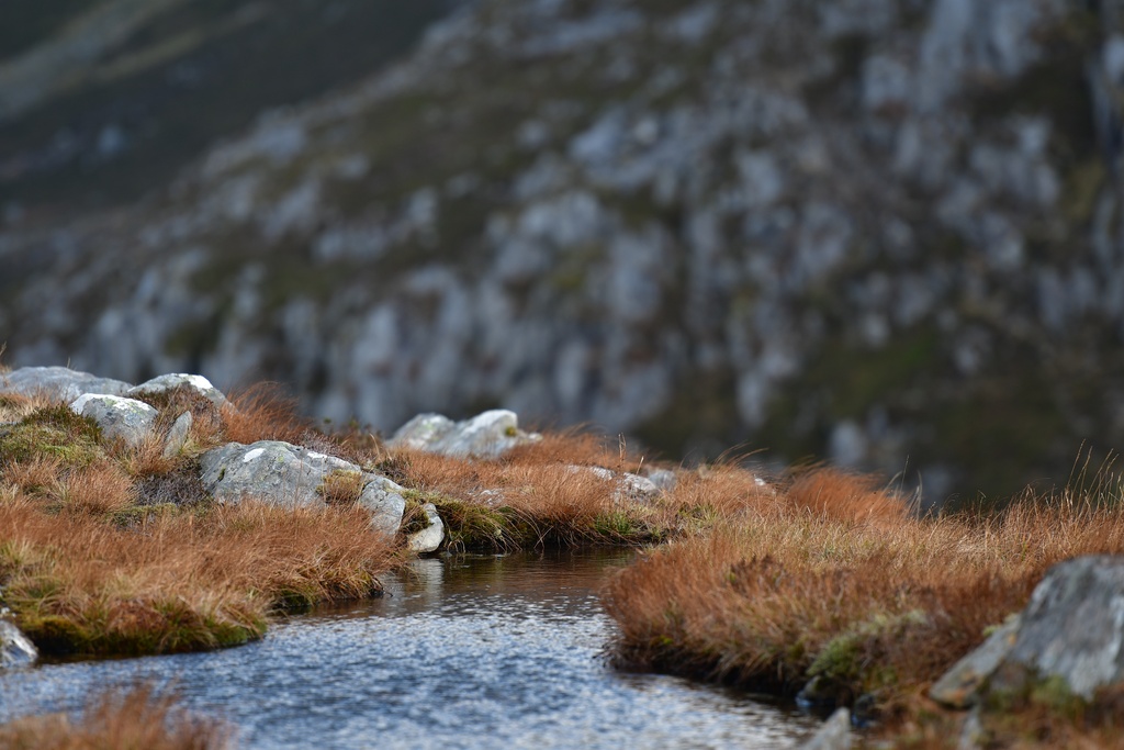 2018-11 Scotland/Pap of Glencoe/DSC_7010.JPG